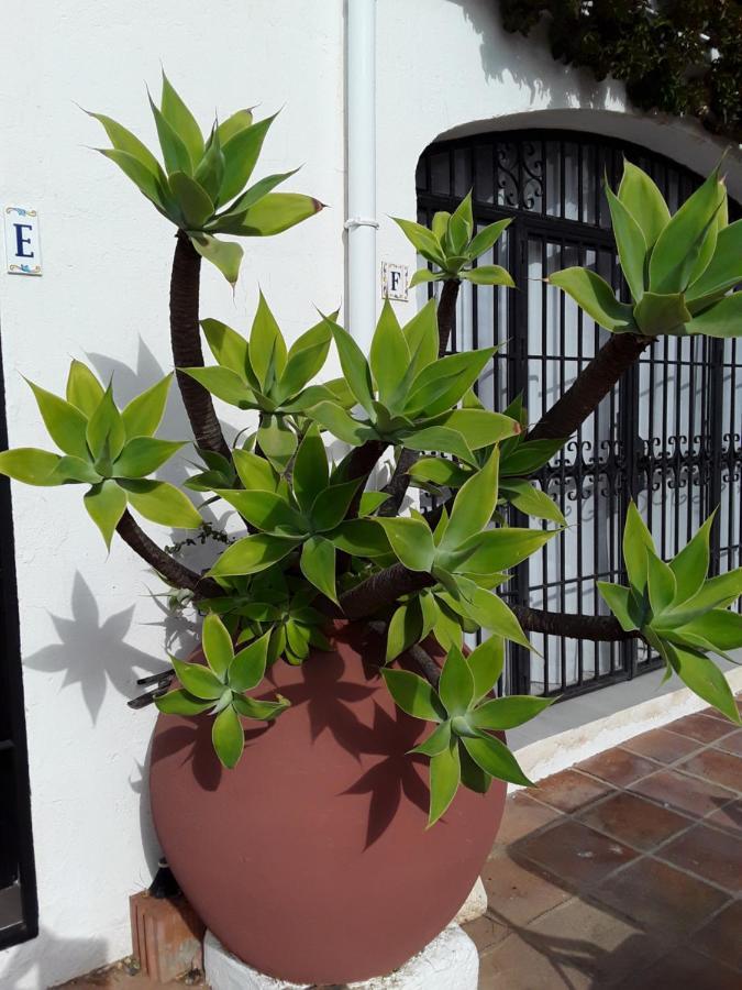 Dona Lola , Luminoso Apartamento Calahonda, Mijas Sitio de Calahonda Buitenkant foto